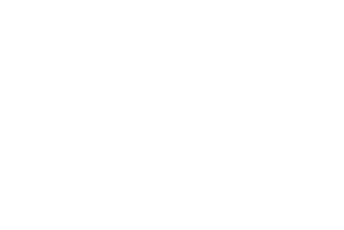 Gingrich Logo