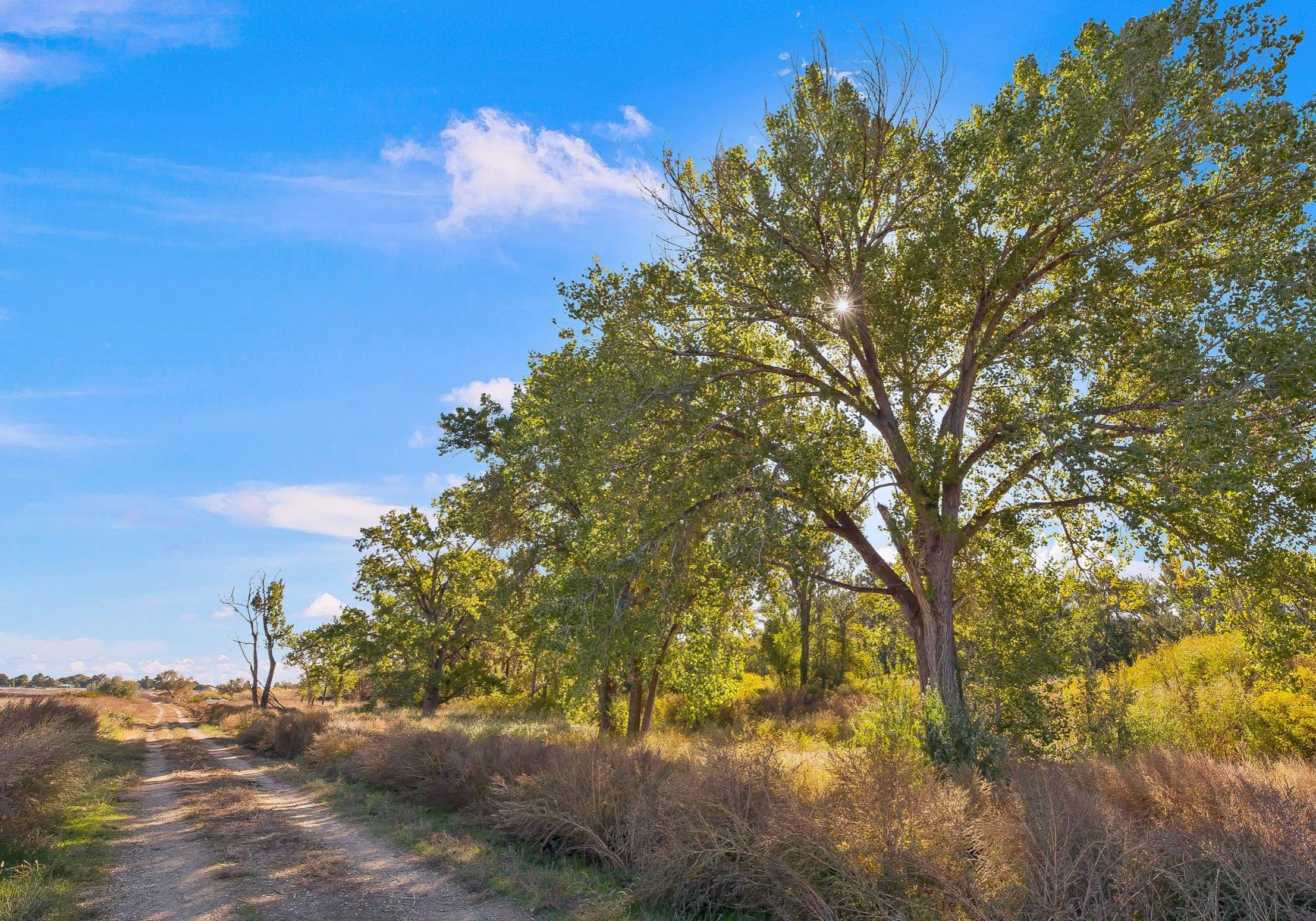 Kingfisher trail in Nampa, Idaho. Dirt walking path shaded by trees near Lake Lowell