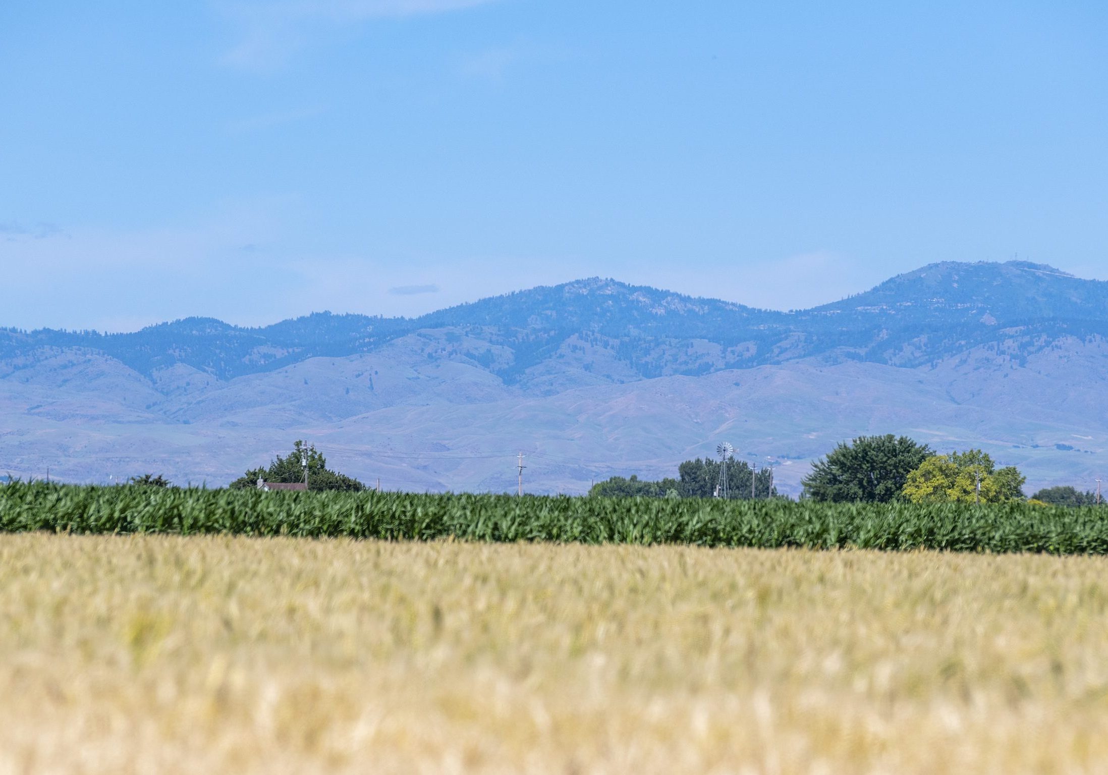 View of Boise foothills and mountains over farming field in Kuna, Idaho